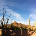Arizona where they have proper bathrooms too. Arizona where they have proper bathrooms too.